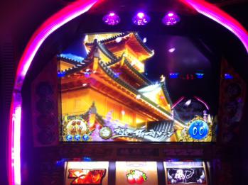 写真 (7)